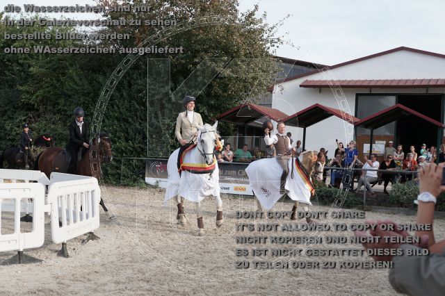 a_DSC06668.JPG